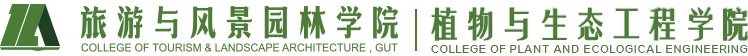 97至尊品牌源于信誉